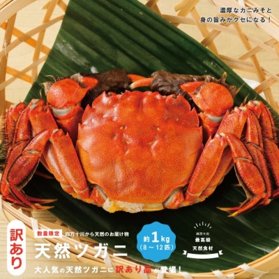 【訳あり・数量限定!】最高級天然食材!四万十川の天然ツガニ 約1kg(8～12匹)24-030W