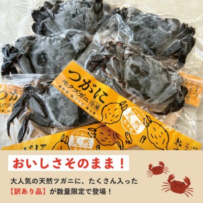 【訳あり・数量限定!】最高級天然食材!四万十川の天然ツガニ 約1kg(8～12匹)