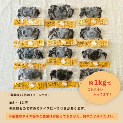 【訳あり・数量限定!】最高級天然食材!四万十川の天然ツガニ 約1kg(8～12匹)
