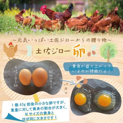 【定期便6回】濃厚でコクのある味わい!のびのび育った土佐ジロー自然卵40個(10個入×4パック)25