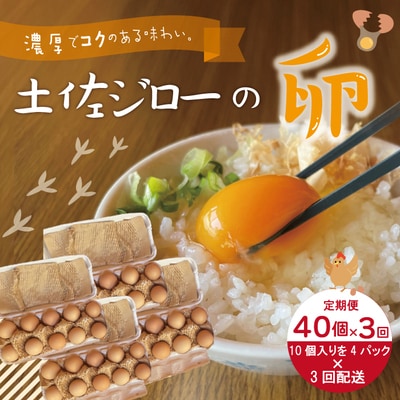 【定期便3回】のびのび育った土佐ジローの自然卵40個(10個入り×4パック)【合計120個】