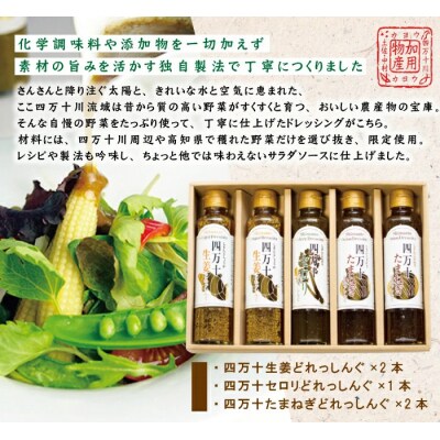 四万十どれっしんぐ5本セット 26-100