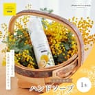 【ミアミモザ】天然香料がふんわり広がるハンドソープ「ミアミモザ ハンドソープ」