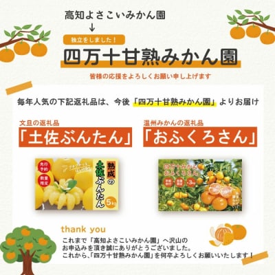 【早期受付・数量限定】熟成の土佐文旦10kg【家庭用】【2026年2月下旬より発送】