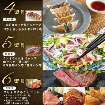 【12回定期便】四万十の贅沢を詰め込んだ プレミアム定期便 2025-590