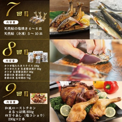 【12回定期便】四万十の贅沢を詰め込んだ プレミアム定期便