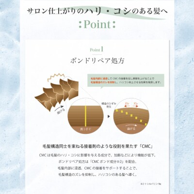 【6回定期便】サロン・ド・オーデ ボンドリペア シャンプー&トリートメント(各500ml)2点セット