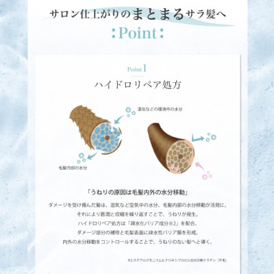 【12回定期便】サロン・ド・オーデ ハイドロリペア シャンプー&トリートメント　2点セット