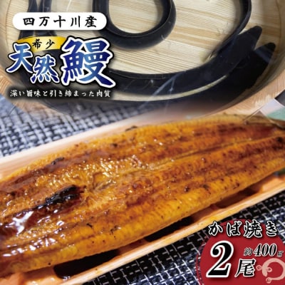 希少 四万十川産<天然うなぎ>蒲焼 2尾(約400g)