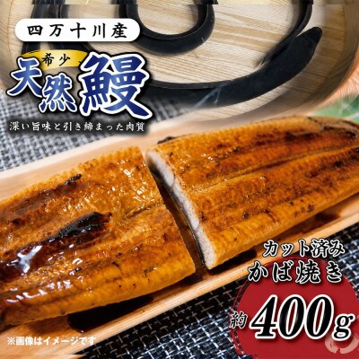 希少 四万十川産<天然うなぎ>蒲焼(約400g)R7