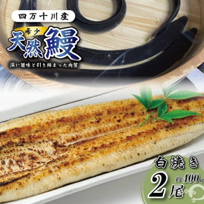 希少 四万十川産<天然うなぎ>白焼き 2尾(約400g)