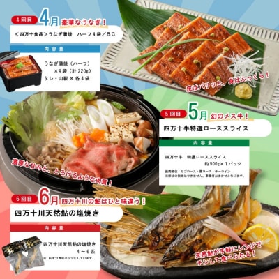 【年末限定12回定期便】人気グルメお楽しみ しまんとふるさと定期便20万円コース 2025-616