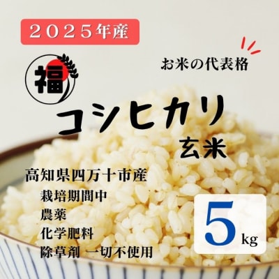 【令和7年産】四万十市産コシヒカリ 玄米 5kg(栽培期間中農薬・ 化学肥料・除草剤不使用)