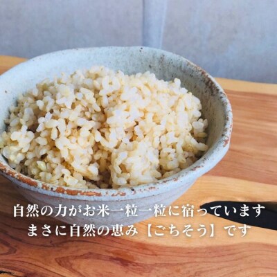 【令和7年産】四万十市産コシヒカリ 玄米 5kg(栽培期間中農薬・ 化学肥料・除草剤不使用)