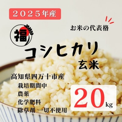 【令和7年産】四万十市産コシヒカリ 玄米 20kg(栽培期間中農薬・ 化学肥料・除草剤不使用)
