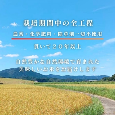 【令和7年産】四万十市産コシヒカリ 玄米 20kg(栽培期間中農薬・ 化学肥料・除草剤不使用)