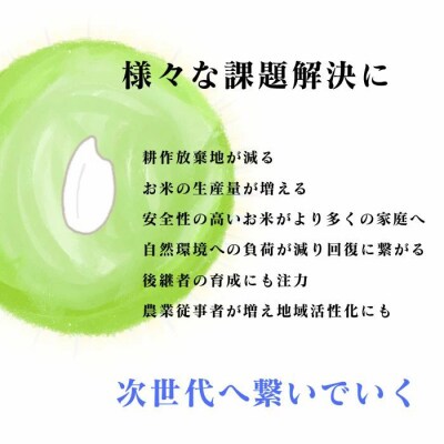 【令和7年産】四万十市産コシヒカリ 玄米 20kg(栽培期間中農薬・ 化学肥料・除草剤不使用)