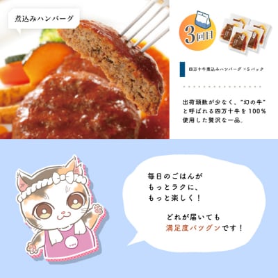【 3回 お届け 】 小分け定期便 ストック おかず お弁当 便利 冷凍 高知 四万十 しまんと