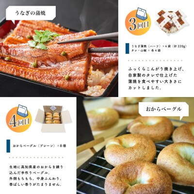 【 5回 お届け 】 小分け定期便 ストック おかず お弁当 便利 冷凍 高知 四万十 しまんと