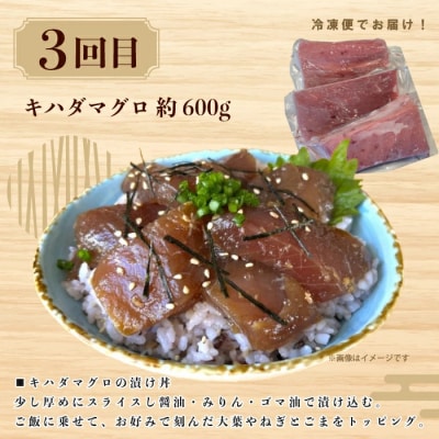 【3回定期便】ご飯にのせて!贅沢どんぶり定期便