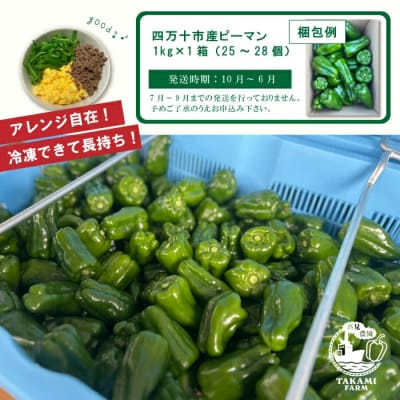 苦味が少なくておいしい!高見農園のこだわり・新鮮ピーマン1kg【発送時期:10月～6月】