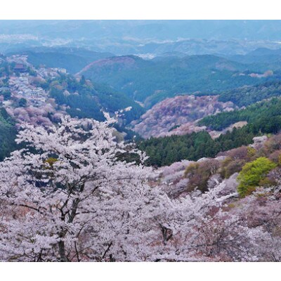 吉野の山奥より　お家で温泉
