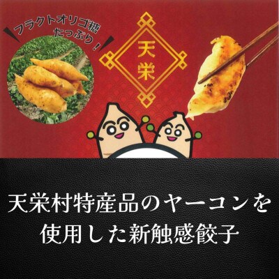 天栄村特産を使ったヤーコン餃子 60個