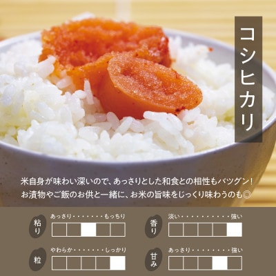 「満天」食べ比べセット各2kg(ゆうだい21・特別栽培米コシヒカリ)ご自宅用