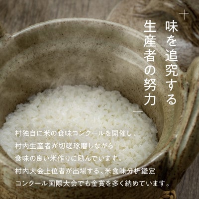 「満天」食べ比べセット各2kg(ゆうだい21・特別栽培米コシヒカリ)ご自宅用