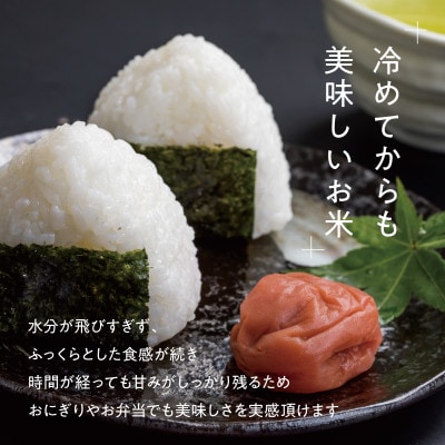 「満天」ゆうだい21(精米) 2kg