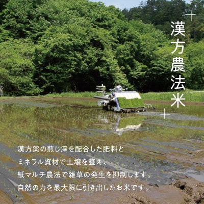 「満天」漢方農法米コシヒカリ(精米) 2kg