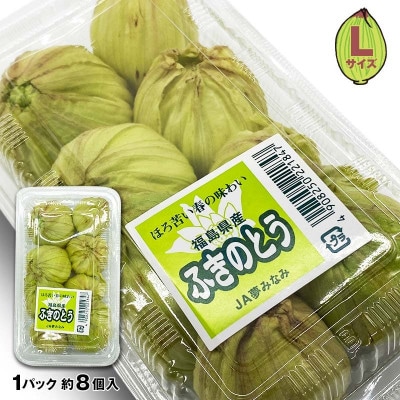 収穫から24時間以内に発送!ほろ苦い春の味わい「ふきのとう」Lサイズ1パック100g(約8個)