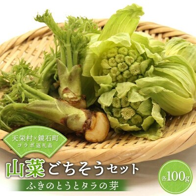天栄村×鏡石町コラボ返礼品 山菜ごちそうセット ふきのとうとタラの芽(各100g)