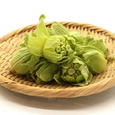 天栄村×鏡石町コラボ返礼品 山菜ごちそうセット ふきのとうとタラの芽(各100g)