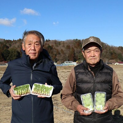 天栄村×鏡石町コラボ返礼品 山菜ごちそうセット ふきのとうとタラの芽(各100g)
