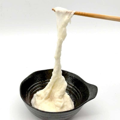 自然からのやさしい贈り物　天栄自然薯1本　贈答用にも