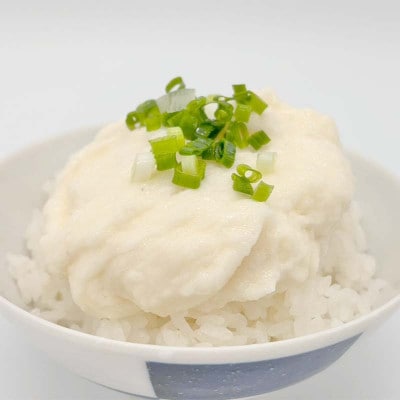自然からのやさしい贈り物　天栄自然薯1本　贈答用にも