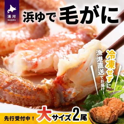 【先行受付開始!】漁協の浜ゆで毛がに 大サイズ2尾セット※日付指定対応不可※[02-776]