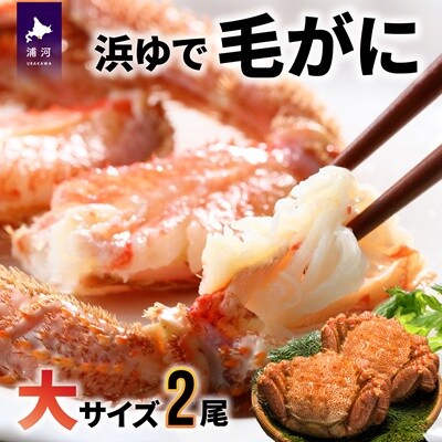 【今が旬!】漁協の浜ゆで毛がに 大サイズ2尾セット※日付指定対応不可※[02-776]