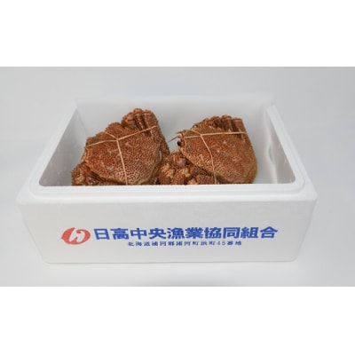 【今が旬!】漁協の浜ゆで毛がに 大サイズ2尾セット※日付指定対応不可※[02-776]