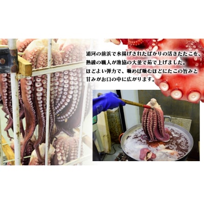 漁協直送!浦河前浜産 活ゆでたこ足(足800g)[02-525]