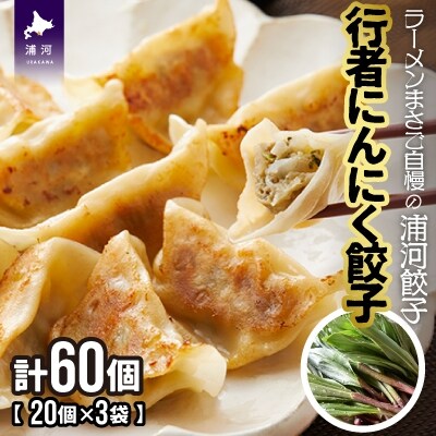 行者にんにく餃子(20個x3袋)[04-617]