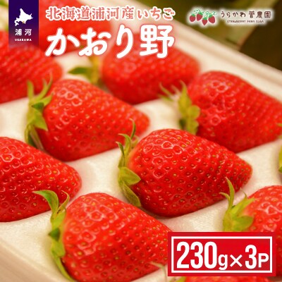 【今が旬!】北海道浦河産いちご「かおり野」230g×3P[13-113]
