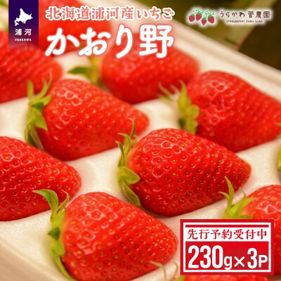【先行受付開始!】北海道浦河産いちご「かおり野」230g×3P[13-113]