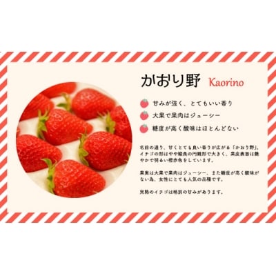 【先行受付開始!】北海道浦河産いちご「かおり野」230g×3P[13-113]