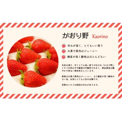 【先行受付開始!】北海道浦河産いちご「かおり野」230g×3P[13-113]