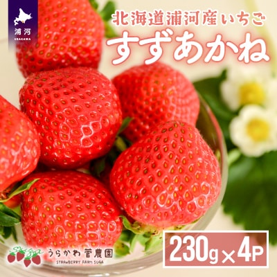 【来年6月中旬頃より発送!】北海道浦河産 夏いちご 「すずあかね」230g×4P[13-150]