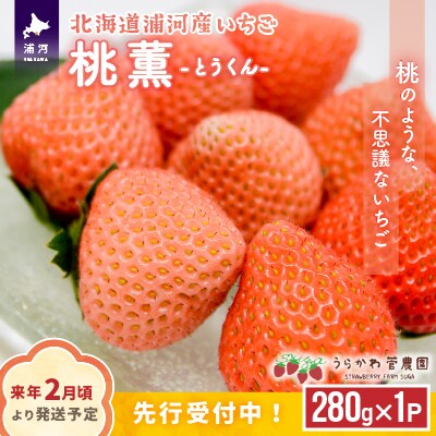【来年2月頃より発送!】北海道浦河産いちご「桃薫」280g×1P[13-279]
