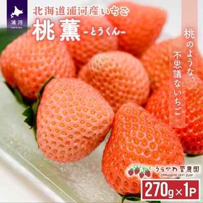 【今が旬!】北海道浦河産いちご「桃薫」270g×1P[13-279]