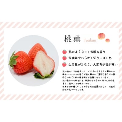 【今が旬!】北海道浦河産いちご「桃薫」270g×1P[13-279]